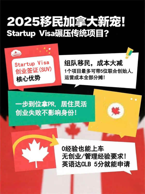 移民加拿大新宠！SUV凭什么碾压传统项目？
