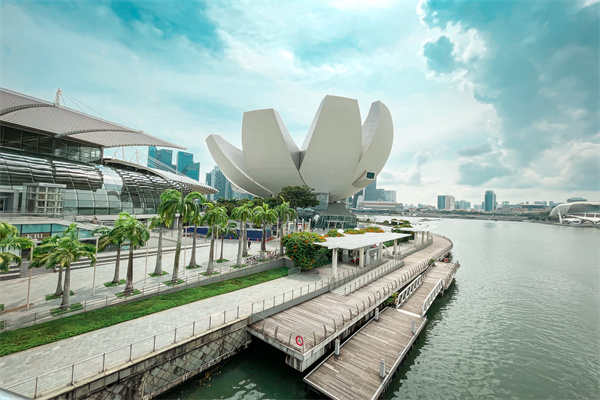 理清新加坡EP申请流程，稳扎稳打才靠谱