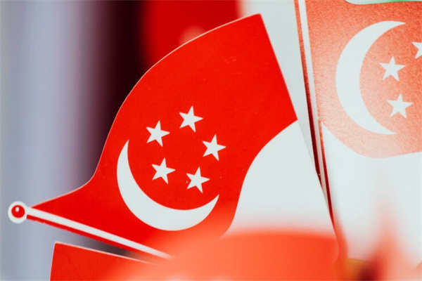 新加坡入籍后可以申请父母移民吗