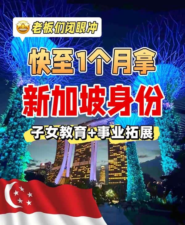 为什么老板都在申请新加坡身份？