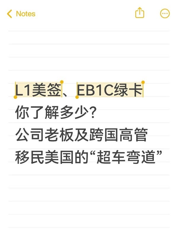 公司老板｜跨国高管是怎样移民美国的？